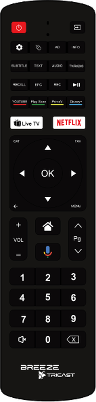 Breeaze Tricast Bluetooth remote control